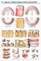Dentist - Patient Consultation Illustrations Wall Chart -(white)DWC02