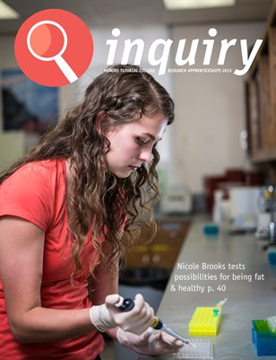 Inquiry 2013