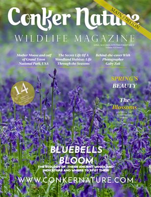 CONKER NATURE MAGAZINE | SPRING | APRIL-MAY 2023 | VOL XXI | ISSUE I