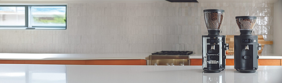 hemro mahlkonig lp cat banner.jpg
